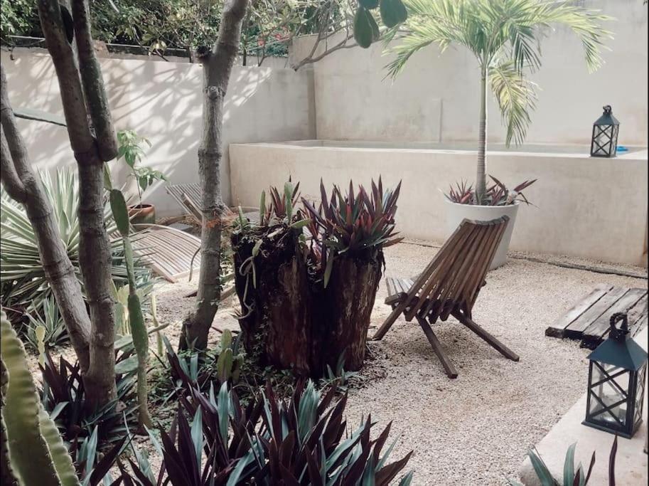 מרידה Hotel Boutique Kaa מראה חיצוני תמונה