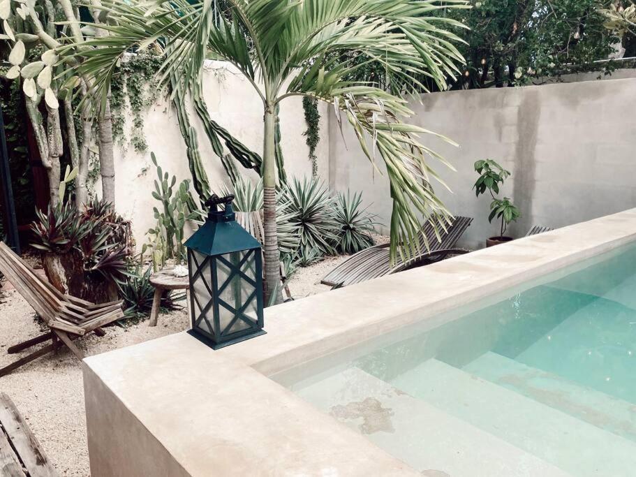 מרידה Hotel Boutique Kaa מראה חיצוני תמונה