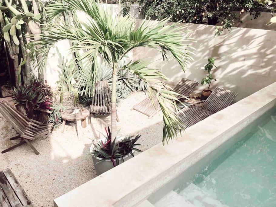 מרידה Hotel Boutique Kaa מראה חיצוני תמונה